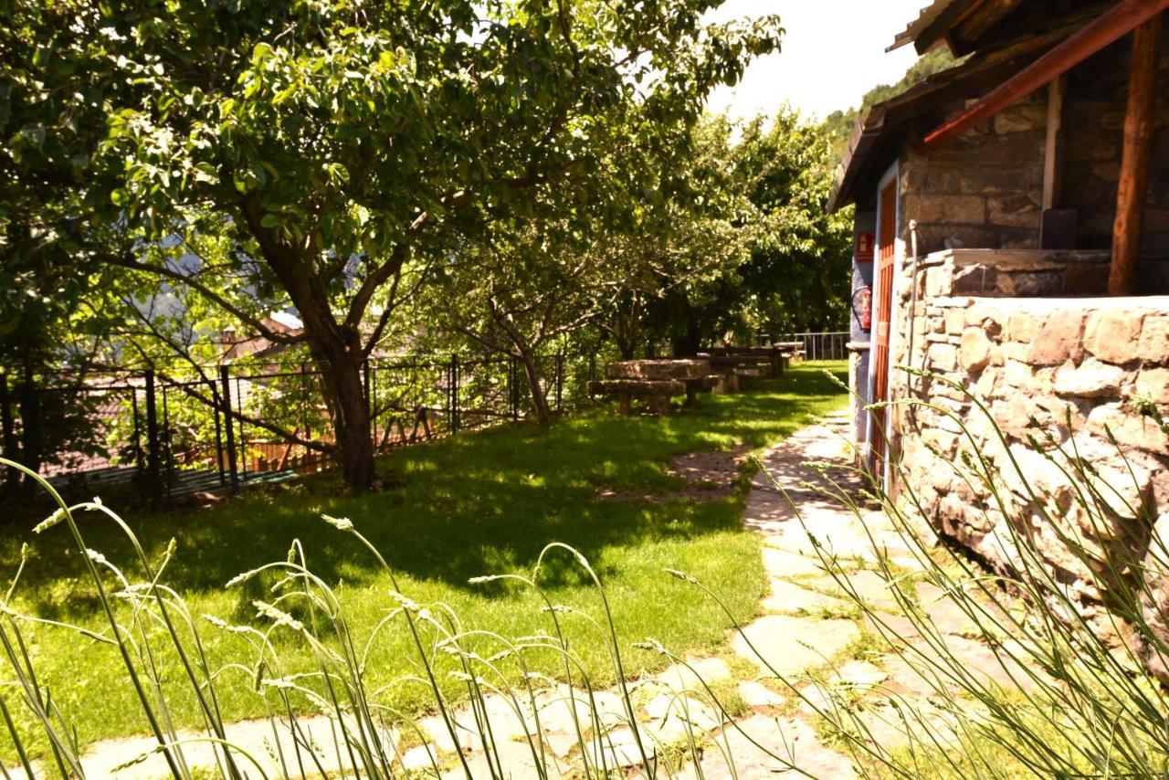 Balcon Del Pirineo Rural Ordesa Hotel Buesa Exterior photo